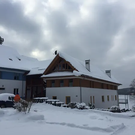 Martin * ליפנו נאד וויטאבו