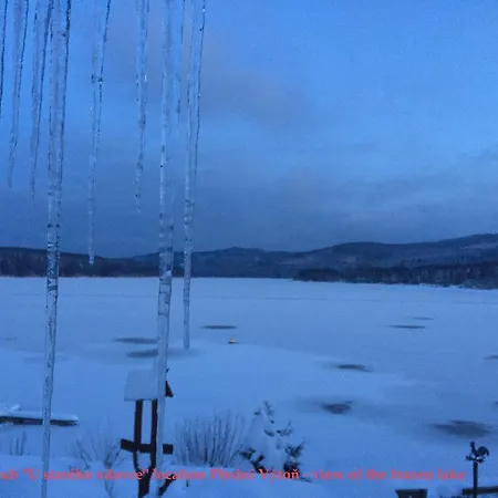 Martin ליפנו נאד וויטאבו